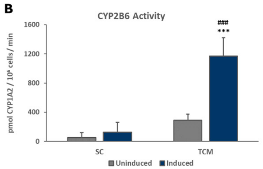 CYP2B6 Activity of hepatocytes cultured in TruVivo