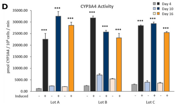 CYP3A4 Induced activity in hepatocytes cultured in TruVivo